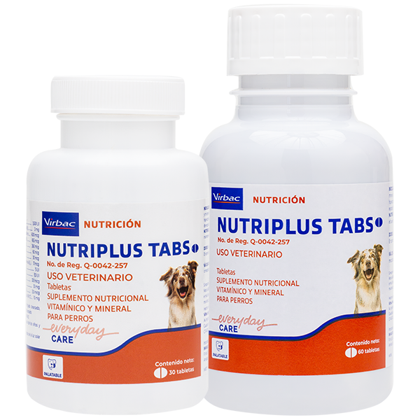 Nutriplus TABS